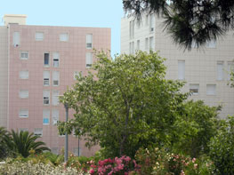 Appartement T3 Residence Les Amarantes Havitat Fr Action Logement