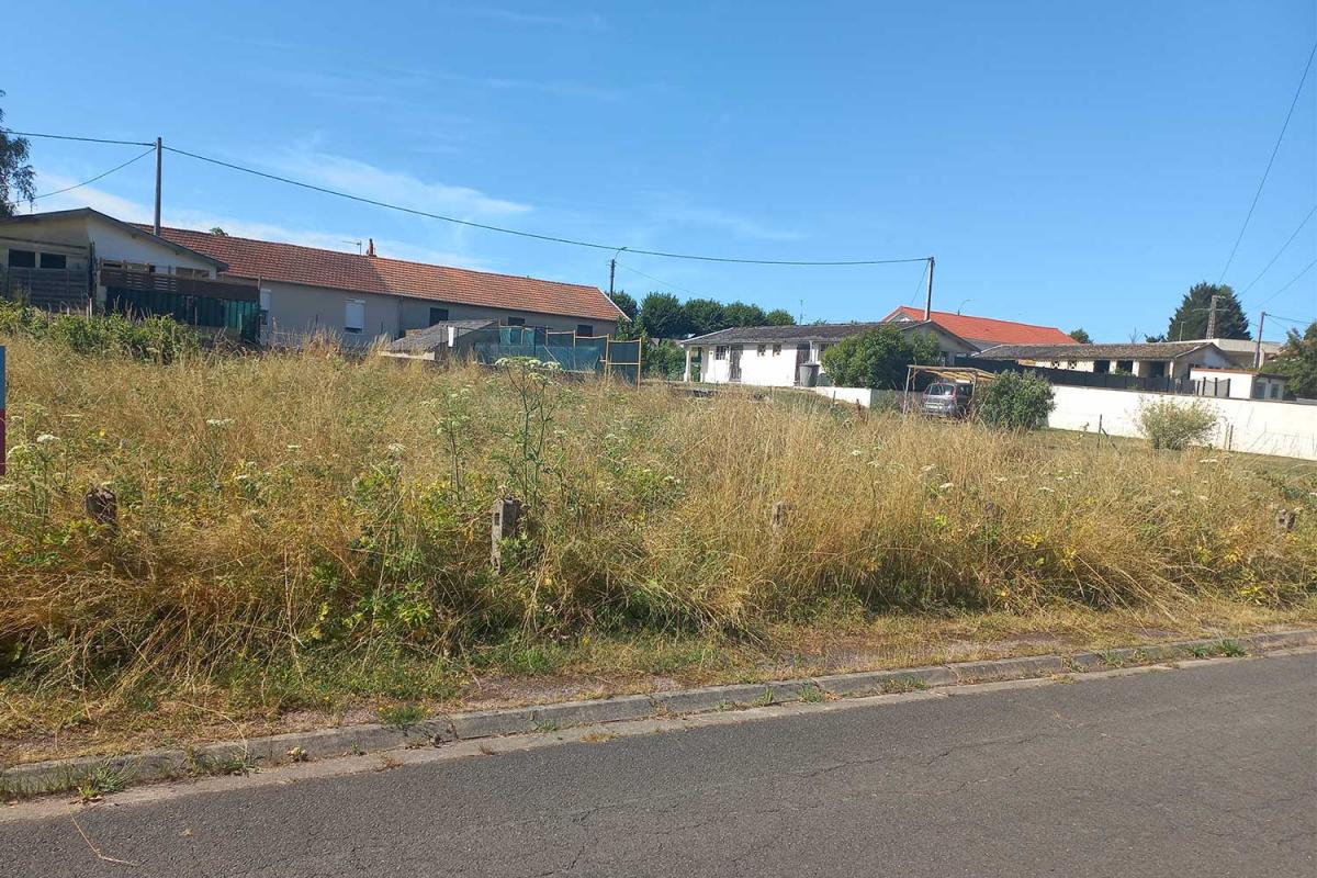 Photo annonce