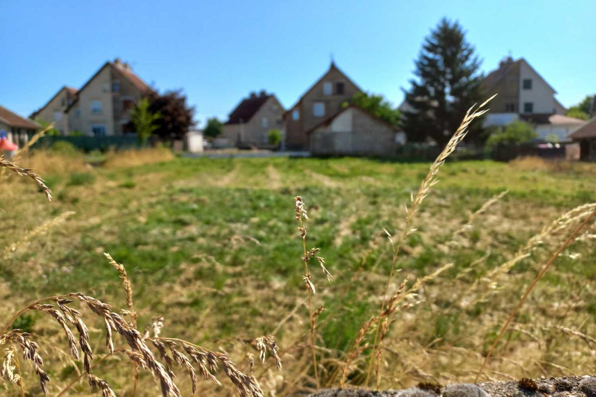 Photo annonce