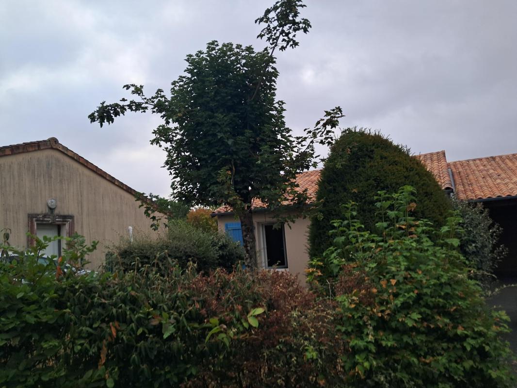 Photo annonce