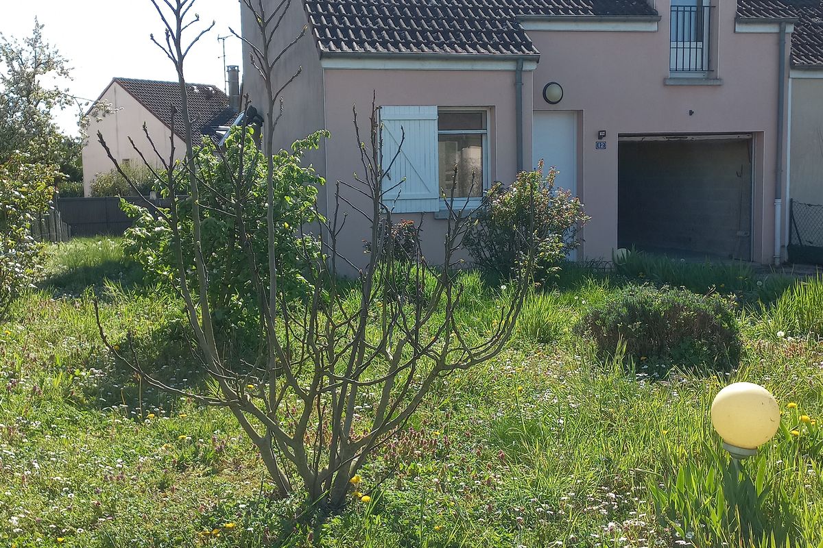 Photo annonce