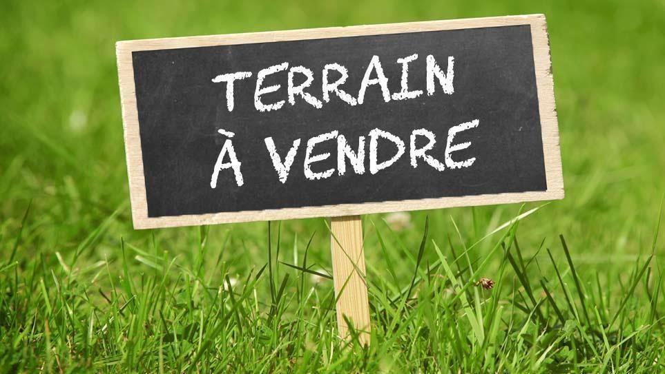 Photo annonce