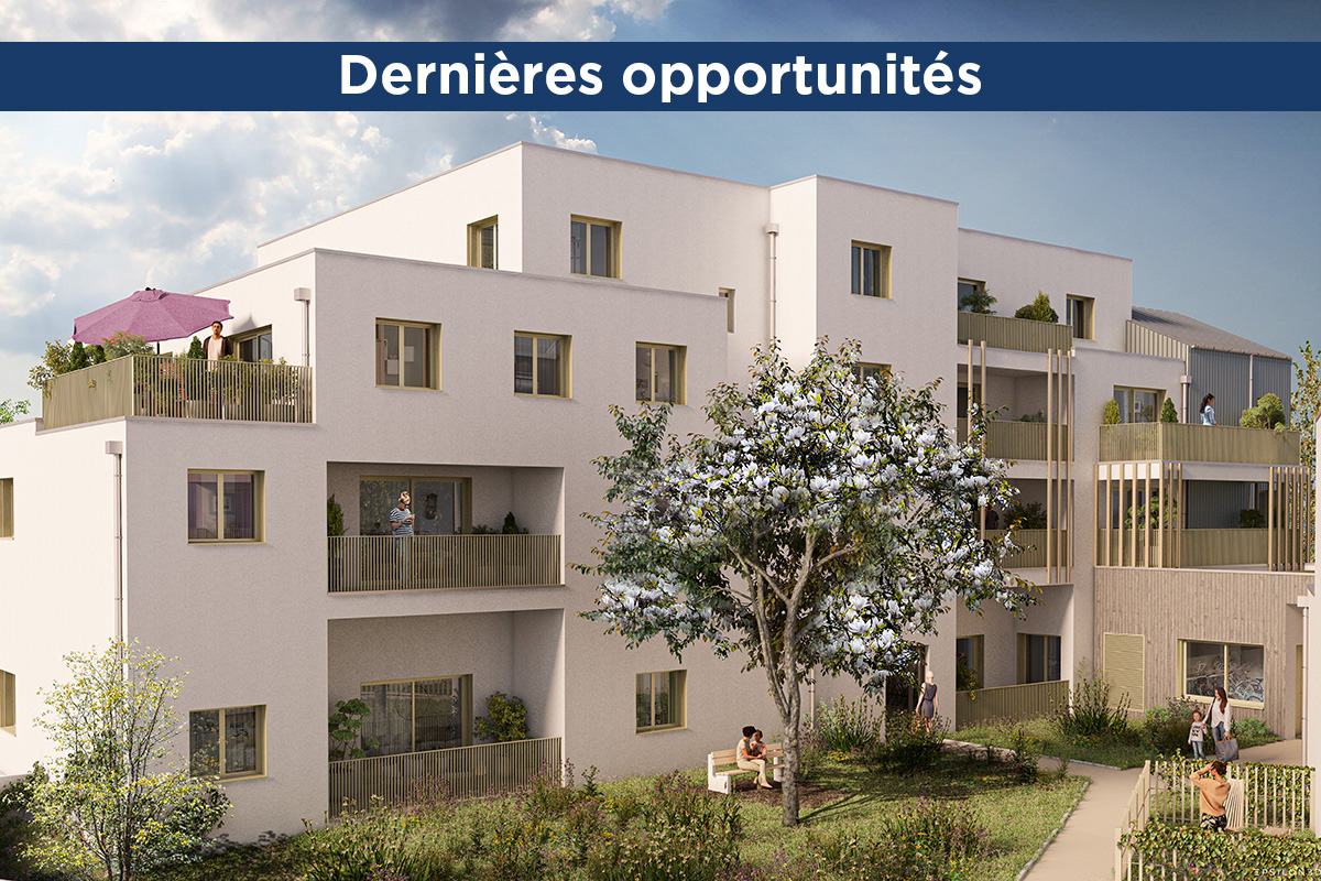 Photo annonce
