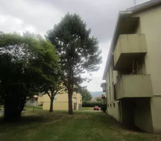 Appartement - T3 - 62m² - Buhl (68530)