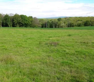 Terrain - T - 610m² - Sevenans (90400)