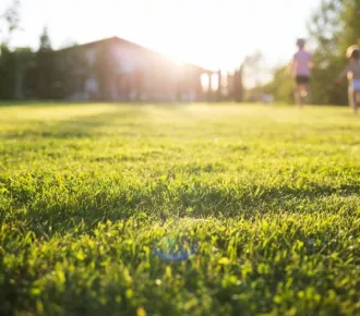 Terrain - T - 500m² - Ruelisheim (68270)