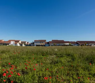 Terrain à bâtir - T - 443m² - Aureilhan (65800)