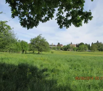 Terrain - T - 686m² - Folgensbourg (68220)