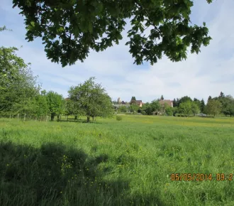 Terrain