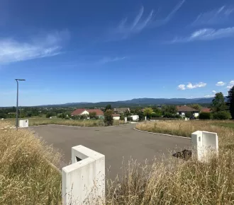Terrain