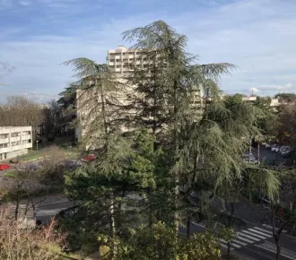 Appartement - T2 - 53m² - Lyon (69009)