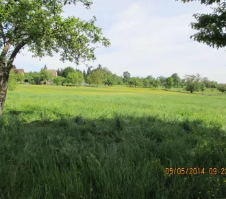 Terrain