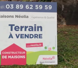 Terrain