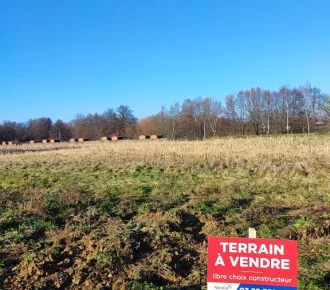 Terrain