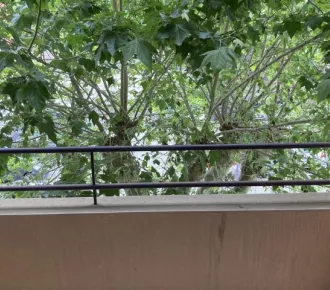 Appartement - T3 - 66m² - Tarare (69170)