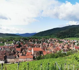 Appartement - T3 - 66m² - Riquewihr (68340)