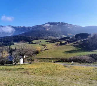 1 pièce, 35m²