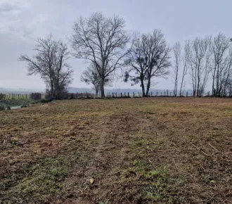 1261m²