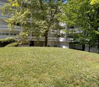 3 pièces, 66m²