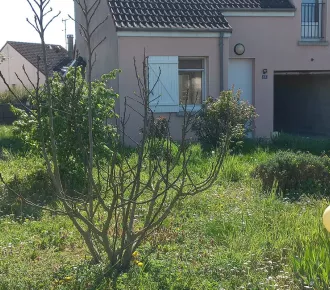 4 pièces, 85m²