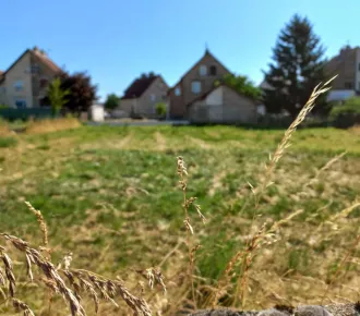 1071m²