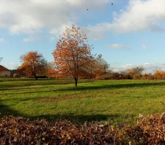 1240m²