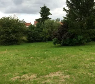1965m²