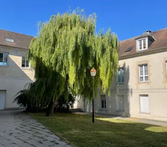 3 pièces, 50m²