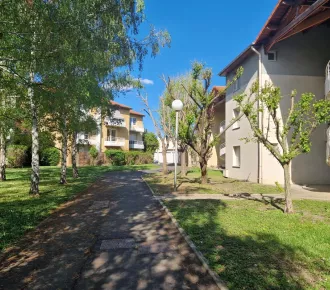 3 pièces, 66m²