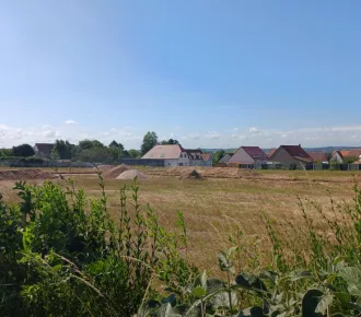 498m²