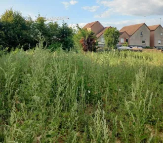 456m²